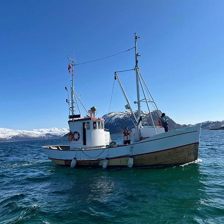 Kvaloya Kvaloyvagen Gard Asヴィラ エクステリア 写真